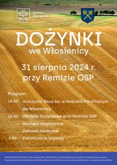 Dożynki sołeckie we Włosienicy